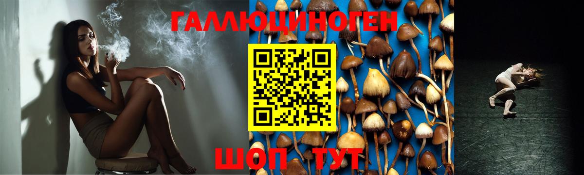 Ярославль  Галлюциногенные грибы ЛСД  Вход с VPN 