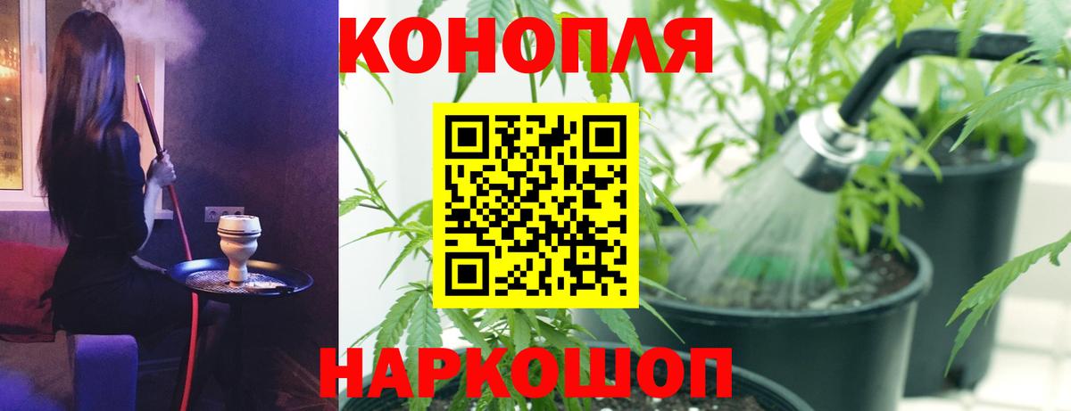 МАРИХУАНА сатива Ярославль